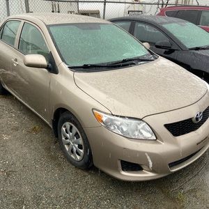 Meet your Posher, Steve